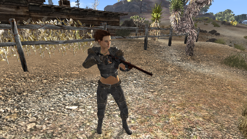 fallout new vegas how to remove weapon mods
