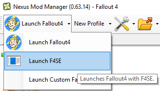 File:F4SE Launch.png