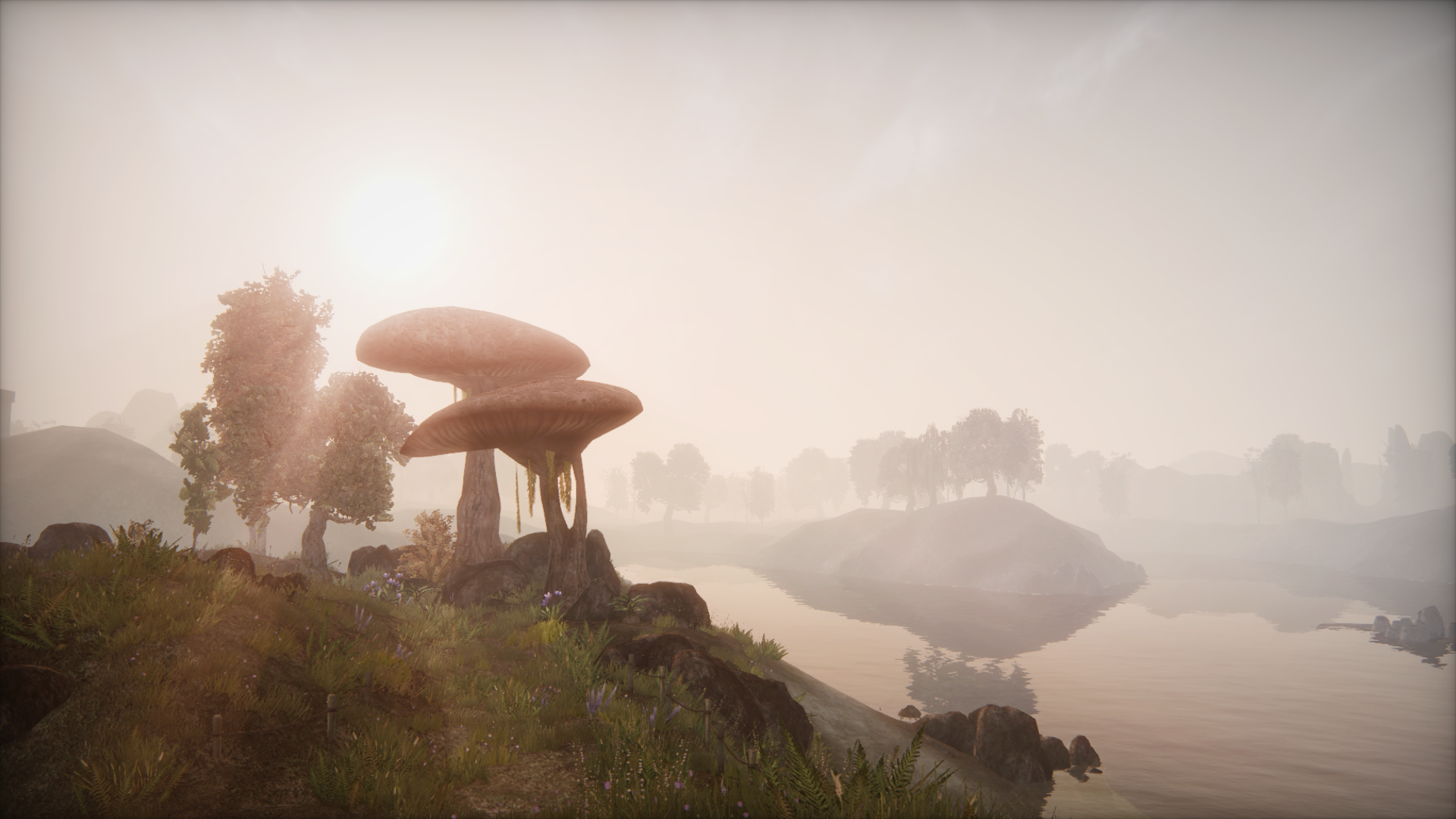 Morrowind overhaul steam фото 93