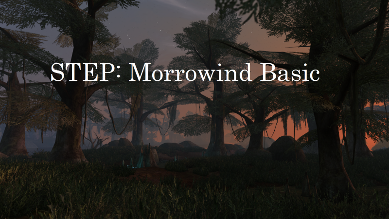 File:Morrowind 2018-07-03 00.15.52.781.png