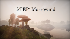 1200px-Morrowind 2017-10-21 22.51.18.100.png